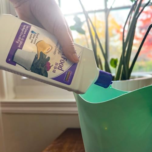 Bonide Houseplant Liquid Plant Food 10-10-10, 8 oz Concentrated Fertilizer for Indoors, Use Every Time You Water | Concentrated Fertilizer for Indoors