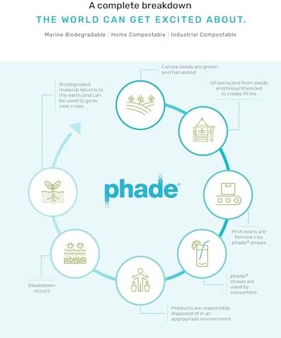 phade Phade 7.75 inch Jumbo Compostable Biodegradable Eco Straws,375 Count,Individually Wrapped,For Cold Drinks Only