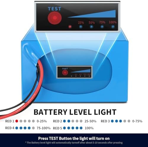 VISET Ebike Battery Pack