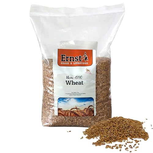 Ernst Grain & Livestock Soft Red Wheat Berries – Non‑GMO Feed Grade – 46 LB Bulk Bag – Ideal for Livestock & Poultry Feed – Grown (Family