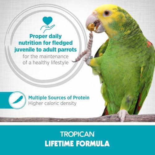 HARI Tropican Bird Food, Maintenance Parrot Granules 2 mm, 1.8 lb Bag | Hagen Parrot Food with Peanuts & Sunflower Seeds, Lifetime Formula