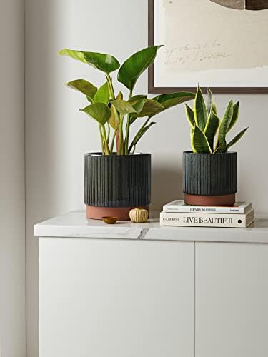 LE TAUCI Ceramic Plant Pots with Drainage Holes, Set of 3, 8+6.7+5.5 Inch Stripe Garden Planter Pots for Outdoor Indoor Plants Flower
