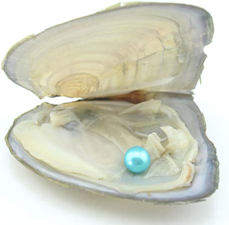 10PC Freshwater Pearl Cultured Oyster with Round Pearl Inside for Gift, Fun for Children, Family, Friends, Party (6-8mm, 10PC)