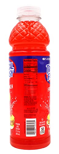 Tropical Fantasy Fruit Punch Juice Cocktail, Fruit Punch, 22.5 Fl Oz