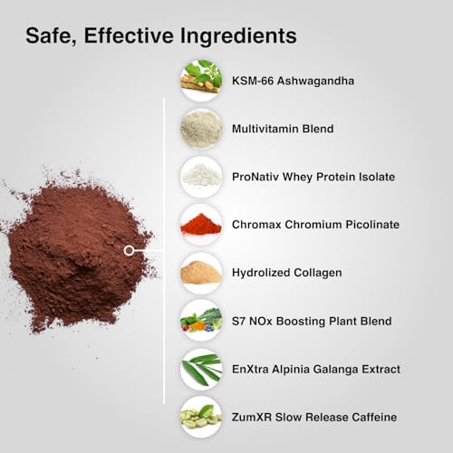 Mdrive Start Performance Protein Powder Chocolate Mousse 30 Servings | 9 in 1 Complete Nutrition Shake Adaptogen Blend Digestion Immune Nitric Oxide