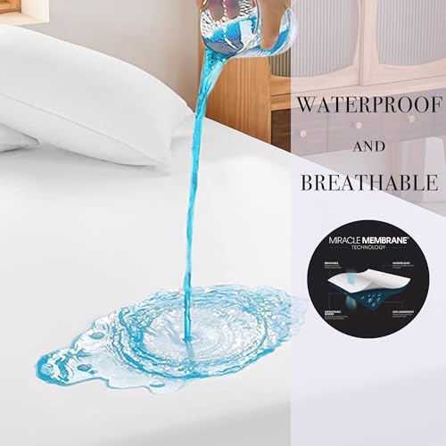 Protect-A-Bed Cloud Extra-Soft Tencel Waterproof Mattress Protector, Queen