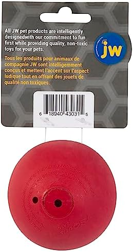 JW Squeak-ee Ball Puppy Toy | Water Resistant Design.