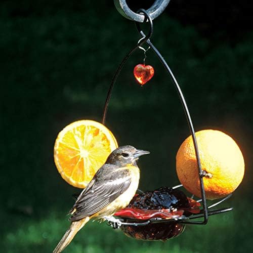 Birds Choice Flower-Shaped Oriole Feeder for Jelly & Oranges | 3oz, Orange | Removable Cup and Fruit Pegs with Heart Ornament, Sturdy for Garden and Backyard, Orange Finish