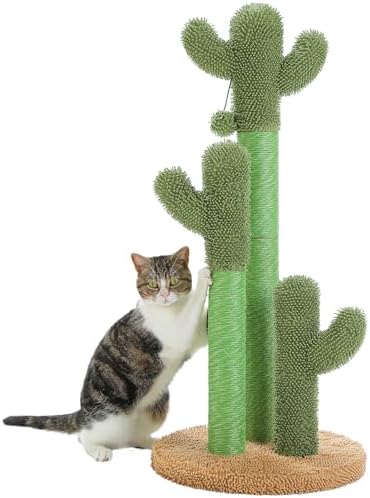 PAWZ Road Cactus Cat Scratching Post 23”Cat Scratcher with Toy Ball