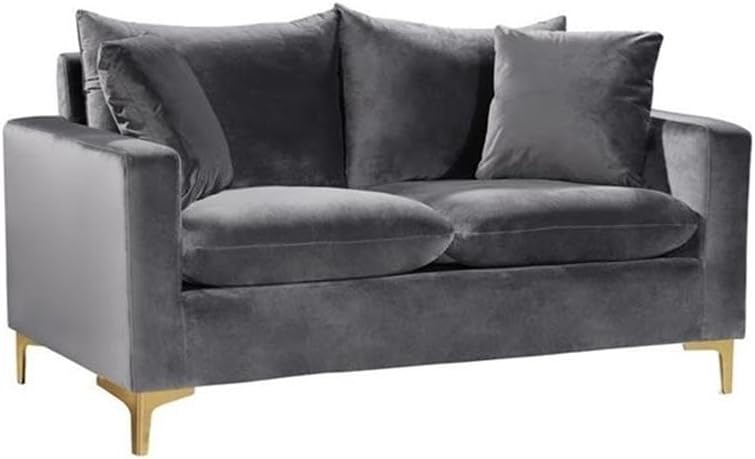Meridian Furniture Naomi Collection Modern | Contemporary Grey Velvet Upholstered Loveseat with Stainless Steel Base in a Rich Gold or Chrome Finish, 633Grey-L