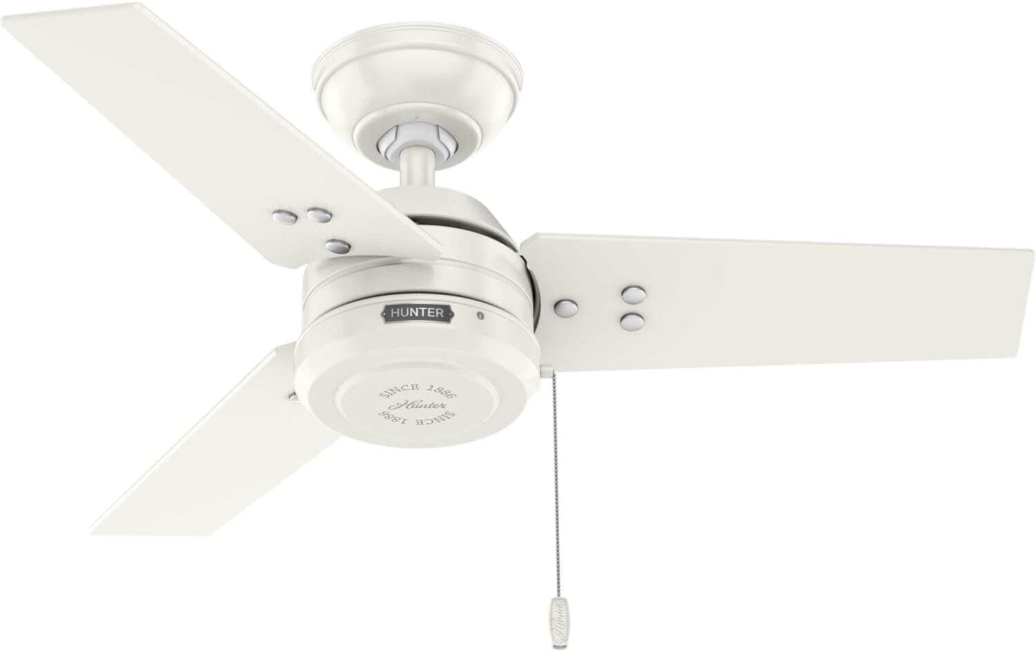 Hunter Cassius, Outdoor or Indoor, Ceiling Fan, 44 inch, Matte Black