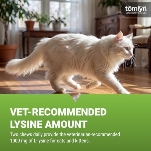 Tomlyn Immune Support Daily L-Lysine Supplement, Fish-Flavored Lysine Chews for Cats and Kittens, 30ct