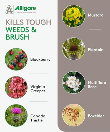 ALLIGARE - : Triclopyr 4 Herbicide Selective Weed Killer for Woody Plants, Brush for Forestry, Pastures, Rights-of-Way & Industrial Sites - Compare to Garlon 4 & Remedy - 1 Gallon