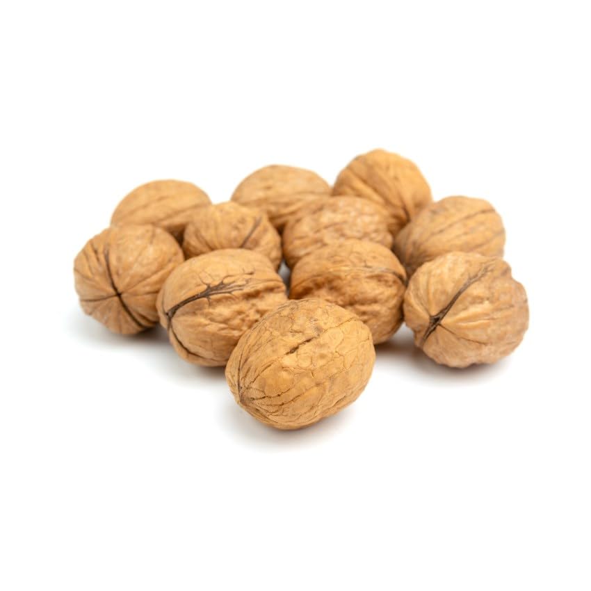 In Shell Jumbo Walnuts - 20 lb.