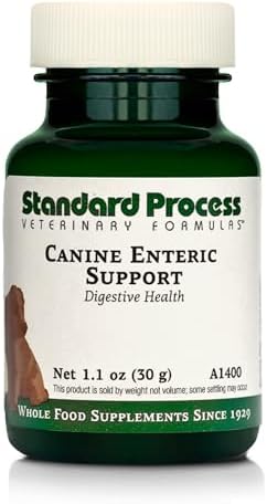 Standard Process Inc. Canine Enteric Support - Digestive System Support for Dogs - Nutritional Dog Supplement for Gut Health - Canine Supplement Formula to Aid Healthy Digestion - 30 g