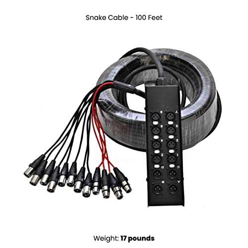 Seismic Audio Speakers 12 Channel Low Profile XLR Send Circuit Board Snake Cable, XLR Splitter Cable, 100 Feet