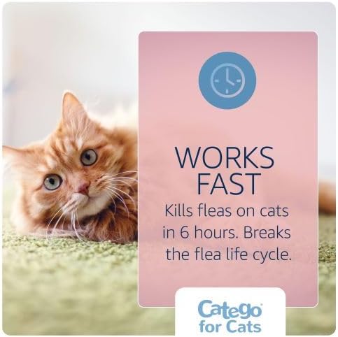 Catego Flea and Tick Prevention for Cats - Over 1.5 lbs, 3 Month Supply | No Prescription Required, Cat Flea Treatment Topical Drops, Fast Acting Flea & Tick Control Drops, Easy to Apply