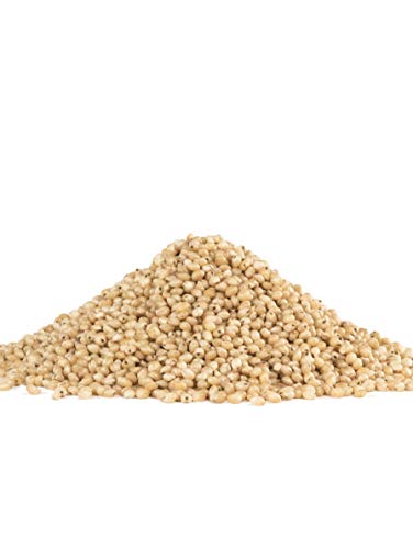 Bob's Red Mill Sorghum Grain, 24oz (Pack of 4) - Whole Grain, Vegan, Kosher