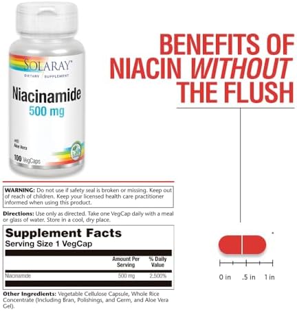 SOLARAY Niacinamide 500 mg | Vitamin B-3 | Energy Metabolism, Circulation, Nerve & Skin Health Support, 100 CT | Niacinamide Supplement