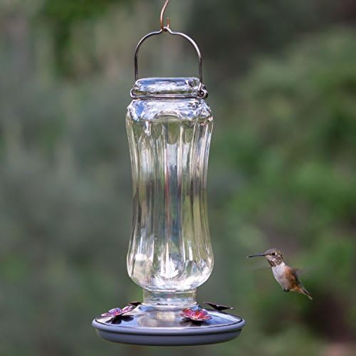 Perky Pet 8133-2 Daisy Vase Vintage Glass Hummingbird Feeder