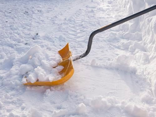 True Temper 1603072 18" Poly Snow Shovel | Ergonomic D-Grip with Durable Steel Handle