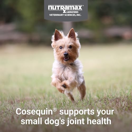 Nutramax Cosequin for Small Dogs, Soft Chews, 45 Count | Glucosamine, Chondroitin for Dogs with MSM, Omega-3s, Supports Healthy Skin and Coat, Small Dog Soft Chews, All Ages