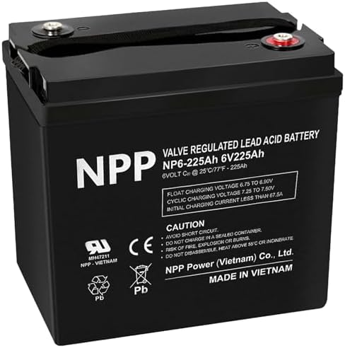 NPP 6V 225Ah AGM SLA Battery with T16 (M8) Terminal for Golf Cart (2 Pcs)