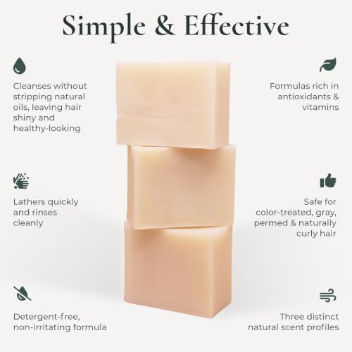 J.R.LIGGETT'S All Natural Shampoo Bar Variety Set 3-Pack, 3.5 oz Each | Tea Tree, Jojoba & Peppermint, and Coconut & Argan Oil Formula