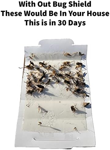 Bug Shield Sticky Glue Traps 72 Glue Boards, All Types of Incets, Spiders, Cockroaches, Ants, Cave Crickets, and More. Professional Strength Glue.