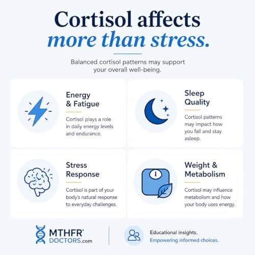 Cortisol Stress Test 4 X Day - Comes with Results Interpretation and Live Support by Phone 7 Days A Week - Fast Results - at Home Saliva Collection