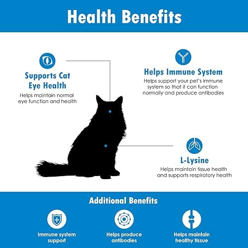 Immune System Support for Cats - Amino Acid L-Lysine - Produce Antibodies - Healthy Tissue, Respiratory Health, Vision - 60 Soft Chews