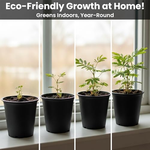 Zombie Plant Seed Packets – Grow a Live Sensitive Plant that Plays Dead When Touched! Indoor Plant Seeds & Educational STEM Activity | House Plant Seeds | Unique Garden Seeds – 2 Pack
