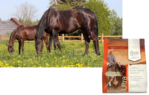 UltraCruz Equine Natural Vitamin E®, Powder, 4 lb