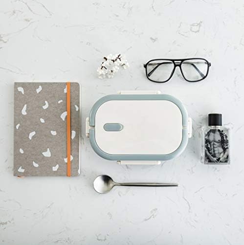 Lille Home Stainless Steel Lunch Box, 22oz Leakproof Bento Box for Adult