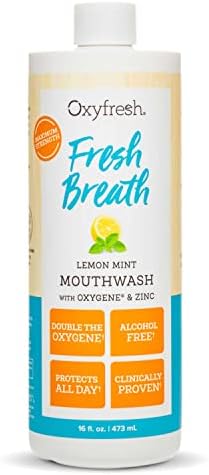 Oxyfresh Lemon Mint Fresh Breath Mouthwash – Bad Breath Treatment – SLS & Fluoride Free – Alcohol Free, Gentle Nonburning with Xylitol & Essential Oils – 16 Fl Oz | Refreshing Oral Rinse for Bad Breath – Alcohol Free, Gentle Non Burning Mouthwash with Xy…