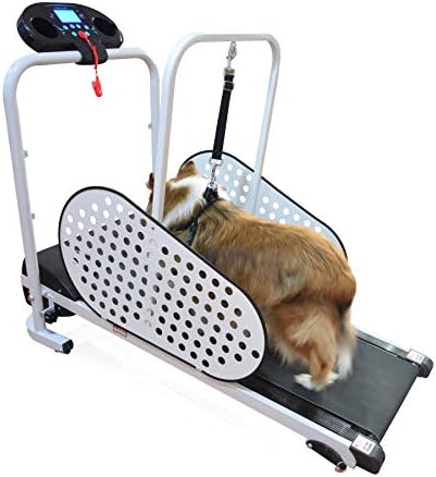 Shelandy Pet Treadmill | Smart and Motorized Treadmill for Small & Medium Dogs