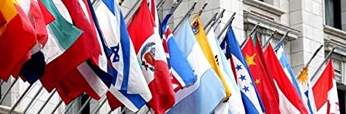 Annin Flagmakers Poland Flag - 2 x 3 Feet (Model 196822) | USA-Made to Official United Nations Design Specifications