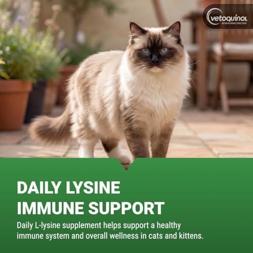 Vetoquinol Enisyl-F Lysine Bites - L-Lysine Chews for Cats & Kittens - Daily Supplement for Immune