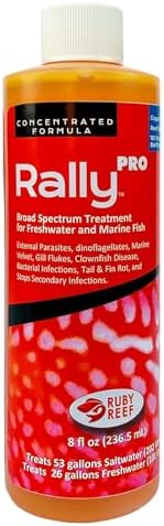 Rally Pro 8 oz. Round ( Pack of 2 )