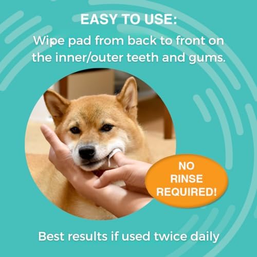 Nootie Medicated Dental Wipes for Dogs with Chlorhexidine, 60 Ct
