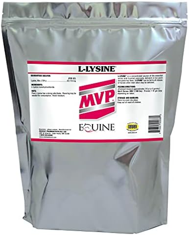 MVP L-Lysine (10lb) for Equine Muscle/Immune Support