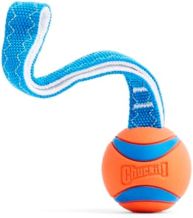 Chuckit! Ultra Tug Dog Toy - Ultra Ball on a Durable Nylon Cord Handle - Fetch and Tug-of-War Toy for Dogs - Size Large - For Breeds 60-100 lbs - 3-inch Diameter - Orange and Blue
