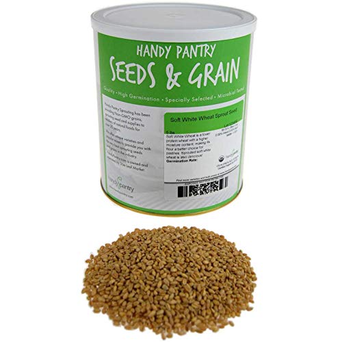 Soft White Wheat - Organic - Handy Pantry Brand - Perfect for Food Storage, Flour, Baking, Sprouting & More (35Lb)