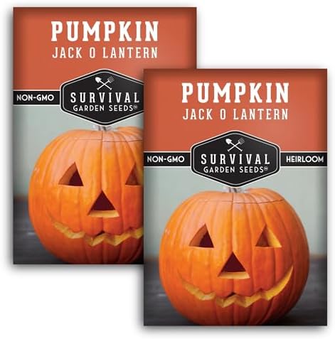 Jack O' Lantern Pumpkin Seeds for Planting - 1 Pack