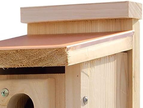 Audubon Coppertop Cedar Wood Bluebird House Model NACOPBB