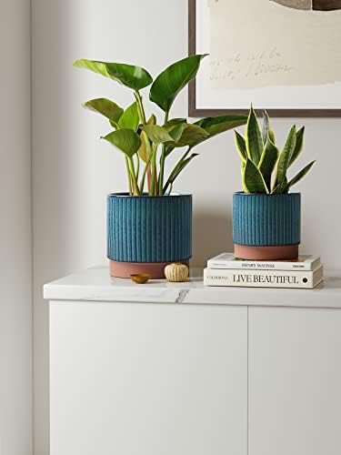 LE TAUCI Ceramic Plant Pots with Drainage Holes, Set of 3, 8+6.7+5.5 Inch Stripe Garden Planter Pots for Outdoor Indoor Plants Flower