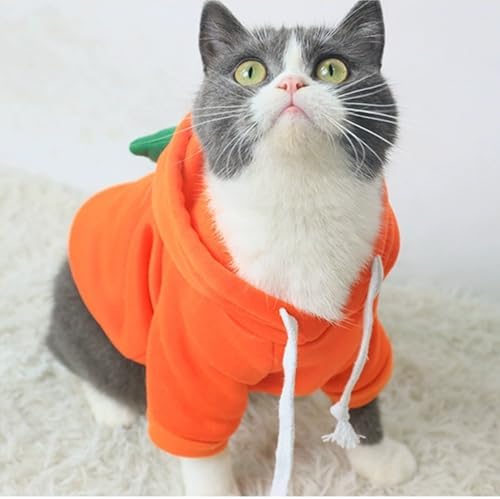 ANIAC Dog Hoodies Sweatshirt with Bunny Ears Spring Puppy Clothes for Small Dog Girl Boy Soft Doggy Sweater Cat Apparel Pet Clothing for Kitten