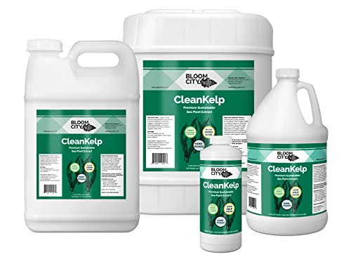 Bloom City Seaweed and Kelp Liquid Fertilizer for Plants, 32 oz | Encourages Strong Root Growth, Helps Ease Transplant Shock, Foliar Spray or Soil Drench, Indoor & Outdoor Garden Use