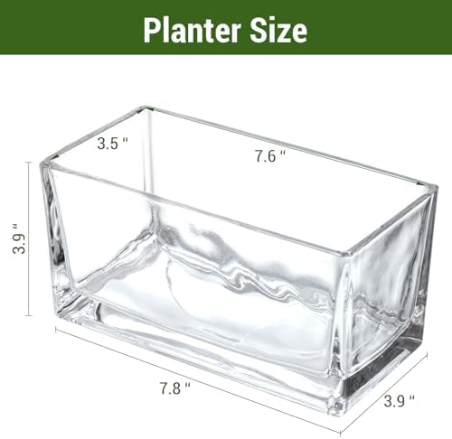 MyGift 7.8 Inch Modern Rectangular Glass Vase Trough Planter Terrarium | Clear Display Design, Tabletop Floral Centerpiece, Succulent Showcase