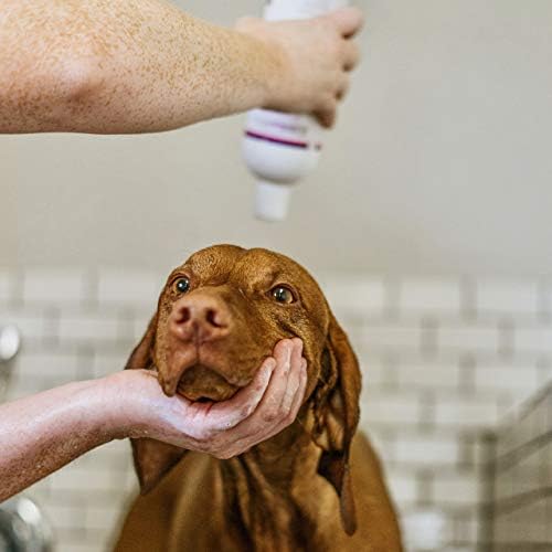 Cedar Suds Pet Shampoo Original Cedar Scent (Pint (16oz))
